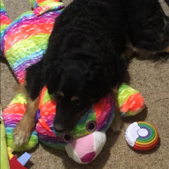 Meet your Posher, Stephanie - Picture 6 of 17